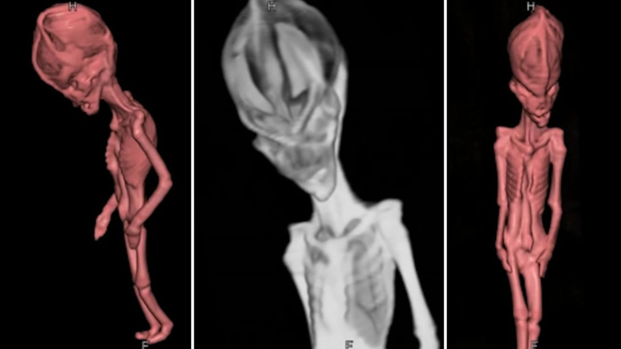 Mystery of 6-inch mummified &#39;alien&#39; skeleton with cone-shaped skull &amp; ten  ribs found in desert that baffled scientists