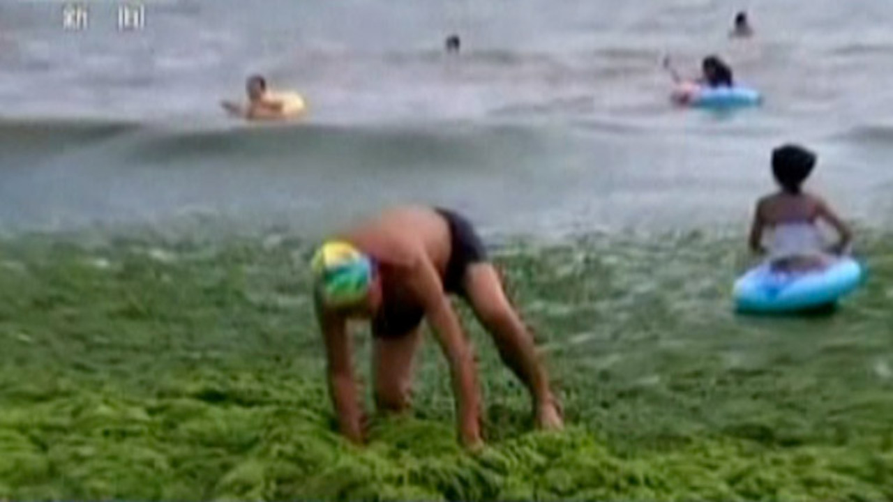 Chinese beachgoers wearing bizarre 'facekinis' barely have room to