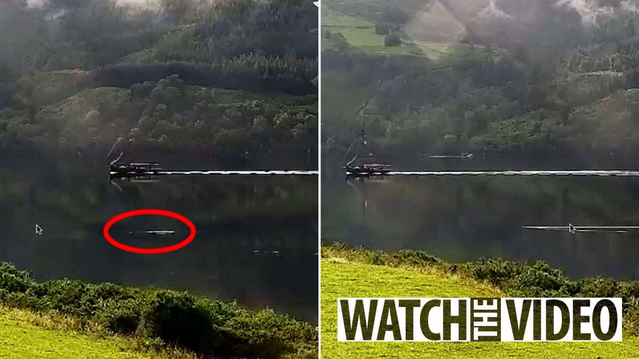 New Loch Ness Monster sighting branded 'compelling evidence' by experts  after tourist's 'lucky' photo
