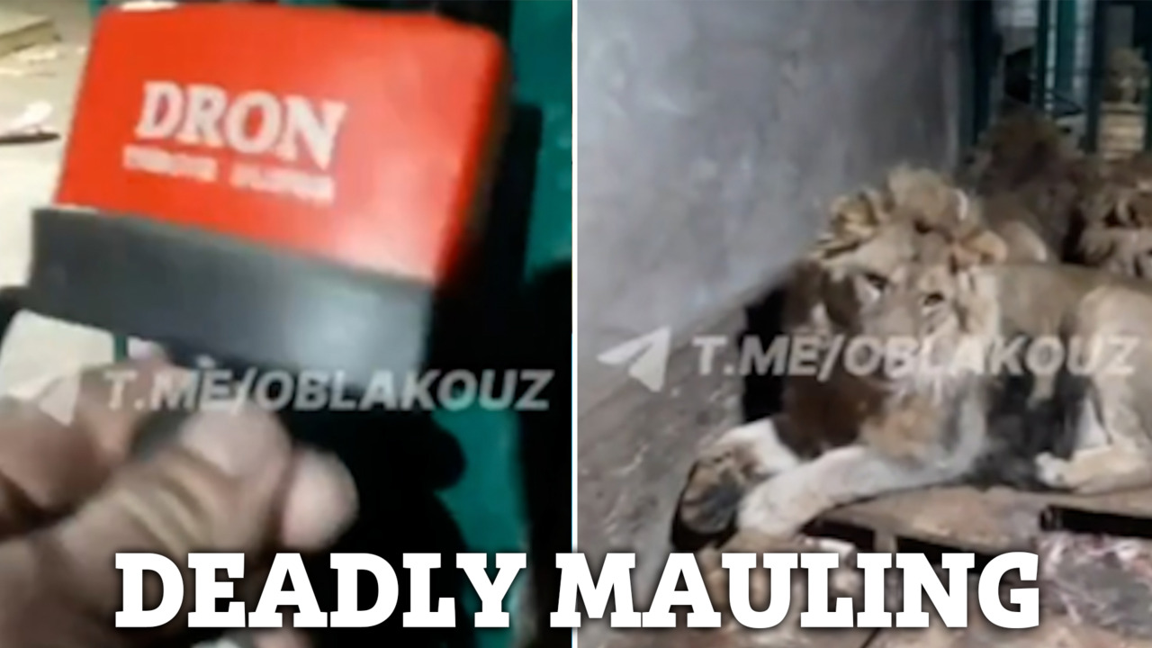 Eng dahshatli rus porno