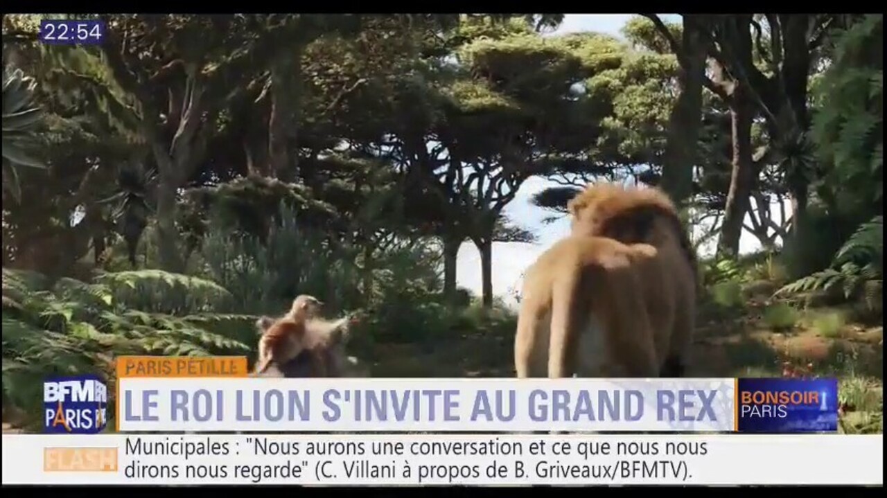Le Roi Lion va être diffusé à la télévision pour la toute première fois en  France 