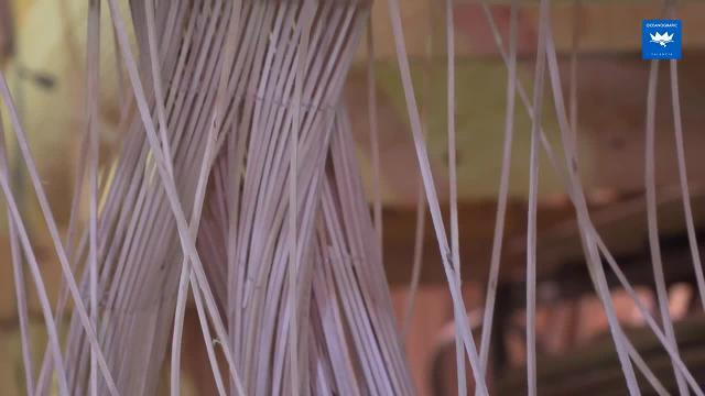 Imagen de las medusas diseñadas por el artista faller Manolo García, que estarán presentes en FITUR