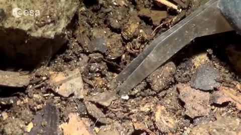 Un astronauta admira una pared de 100 m durante el curso de entrenamiento subterráneo