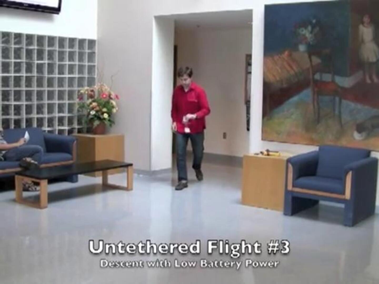 El vuelo del insecto robótico