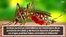 El dengue reaparece en España ochenta años después