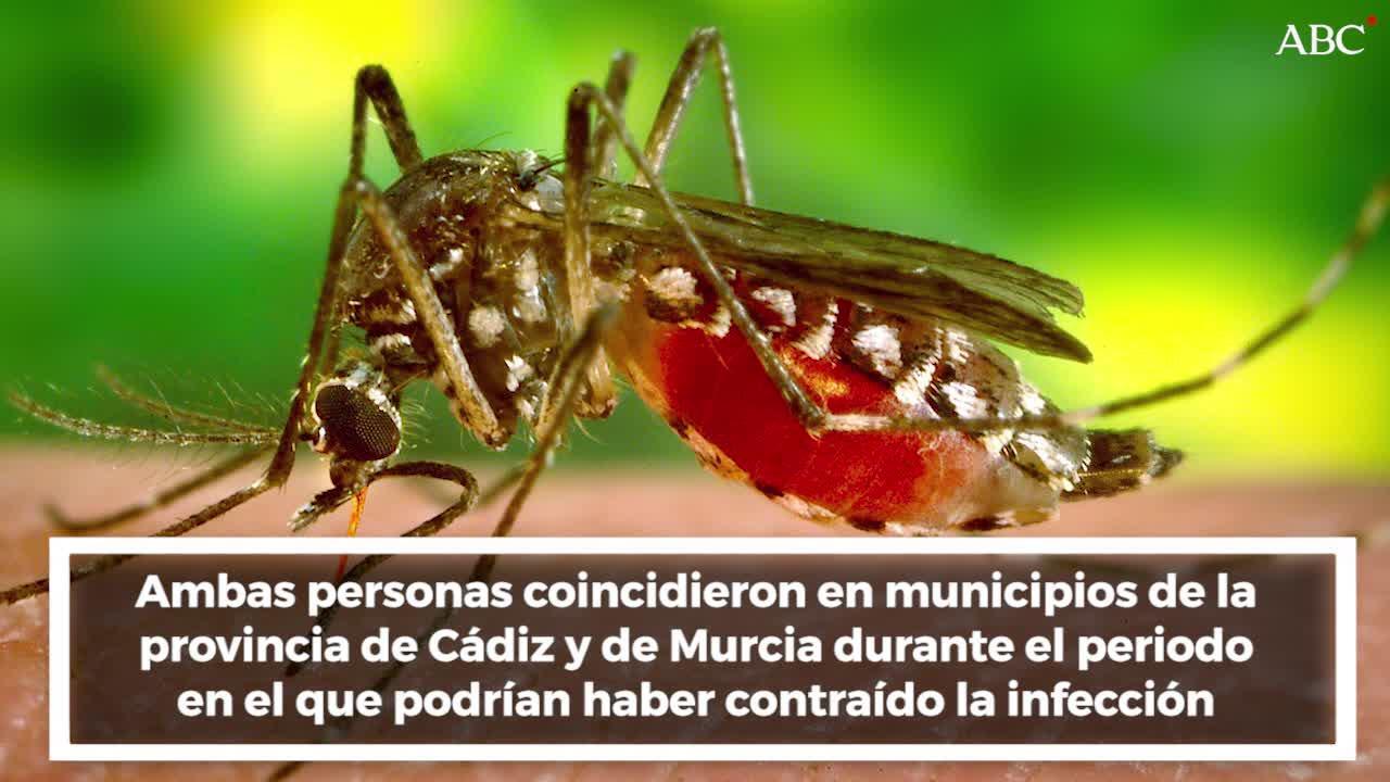 Confirmados dos casos de dengue contraídos en España