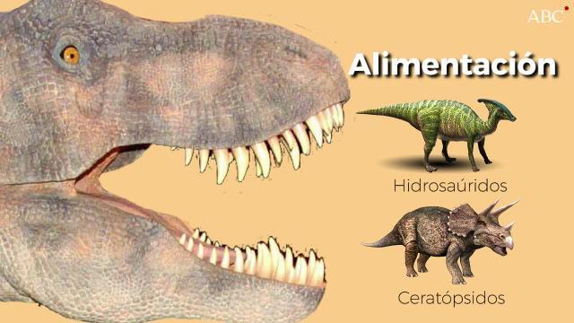 Recreación de un Tiranosaurio rex