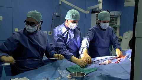 Tecnología &#039;wireless&#039; para el corazón