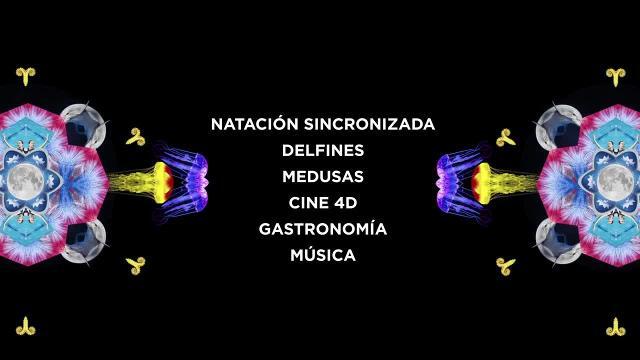 Campaña publicitaria en Youtube