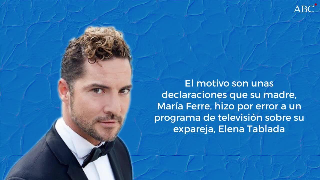La imagen de David Bisbal se devalúa tras las polémicas declaraciones de su madre