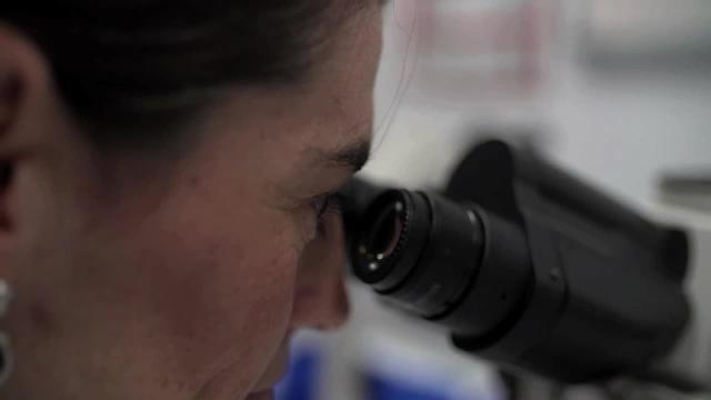 CUN y MD Anderson inician una investigación conjunta para tumores cerebrales pediátricos