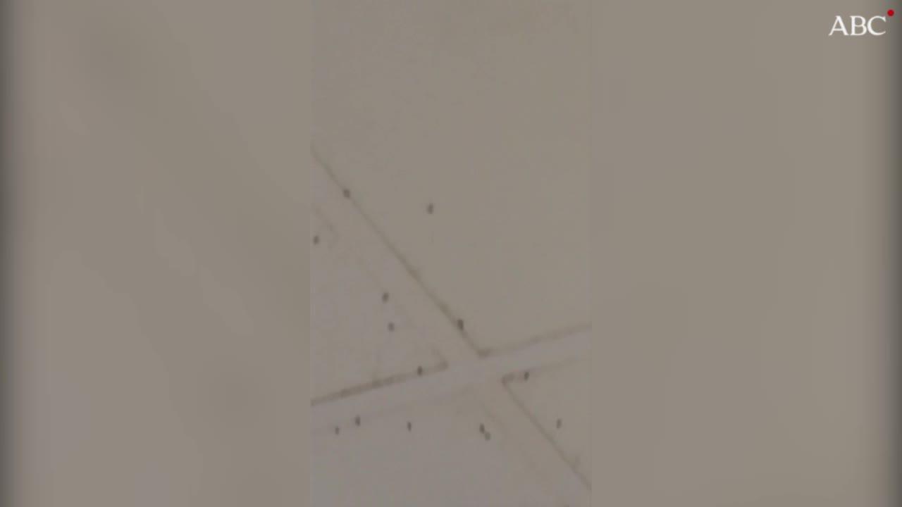 Se prohíbe el uso del móvil en la cocina del hospital Vall d’Hebron de Barcelona por riesgo de contaminación