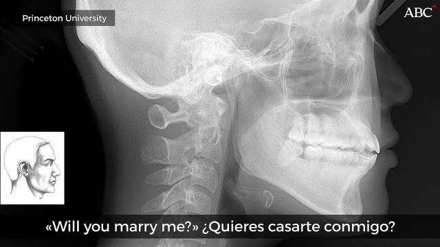 En el audio, primero la recreación del habla del mono y luego la humana, preguntando «¿quieres casarte conmigo?»