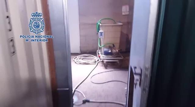 Desmantelado un centro de cultivo de marihuana en Calera y Chozas