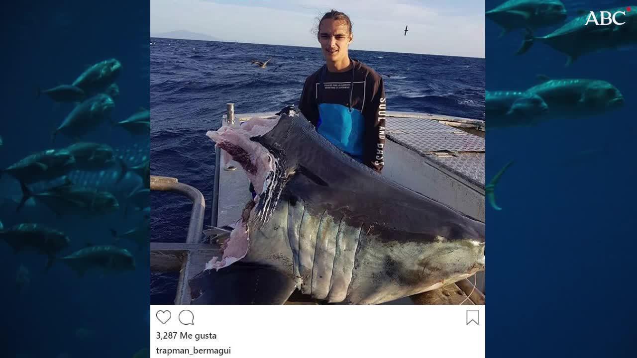 El pescador que encontró la gigantesca cabeza del tiburón