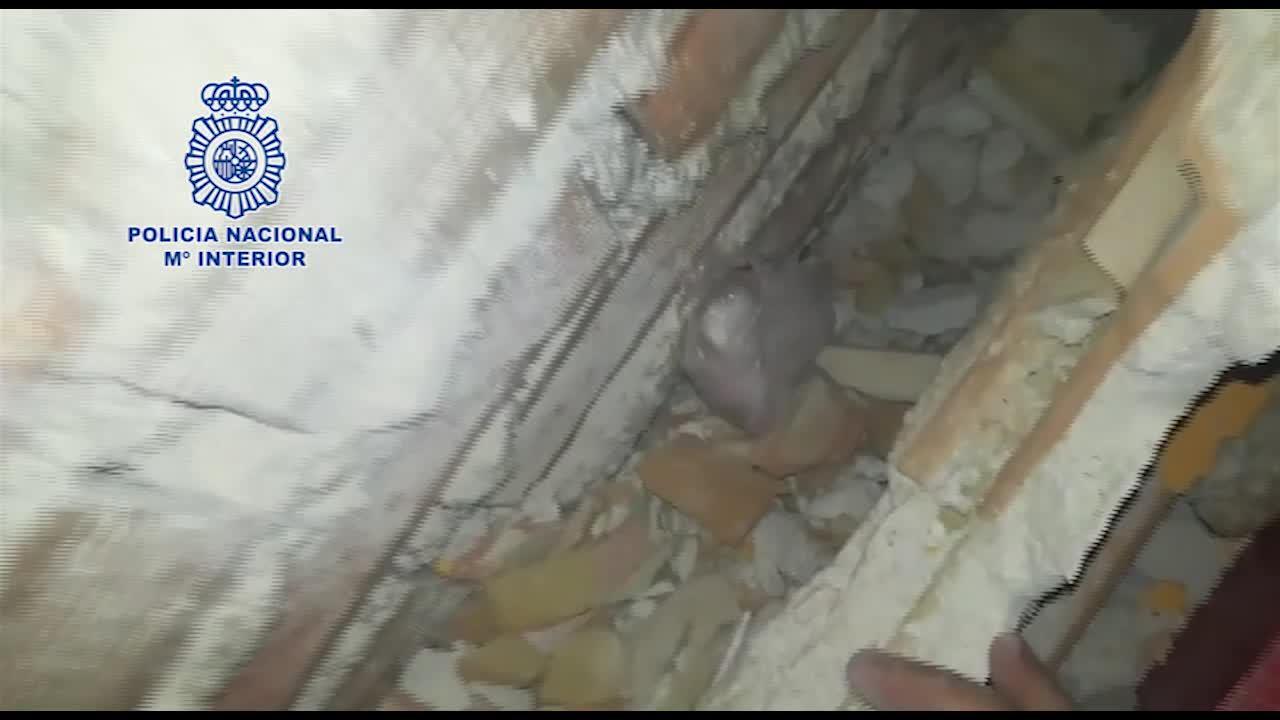 Cae una banda de narcotraficantes en Talavera