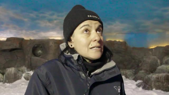 Inca y Rayas, en Faunia