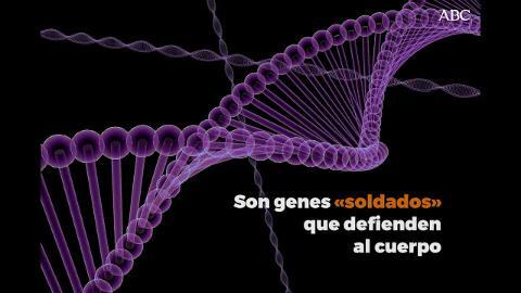 Científicos se lanzan a la búsqueda de vida después de la muerte