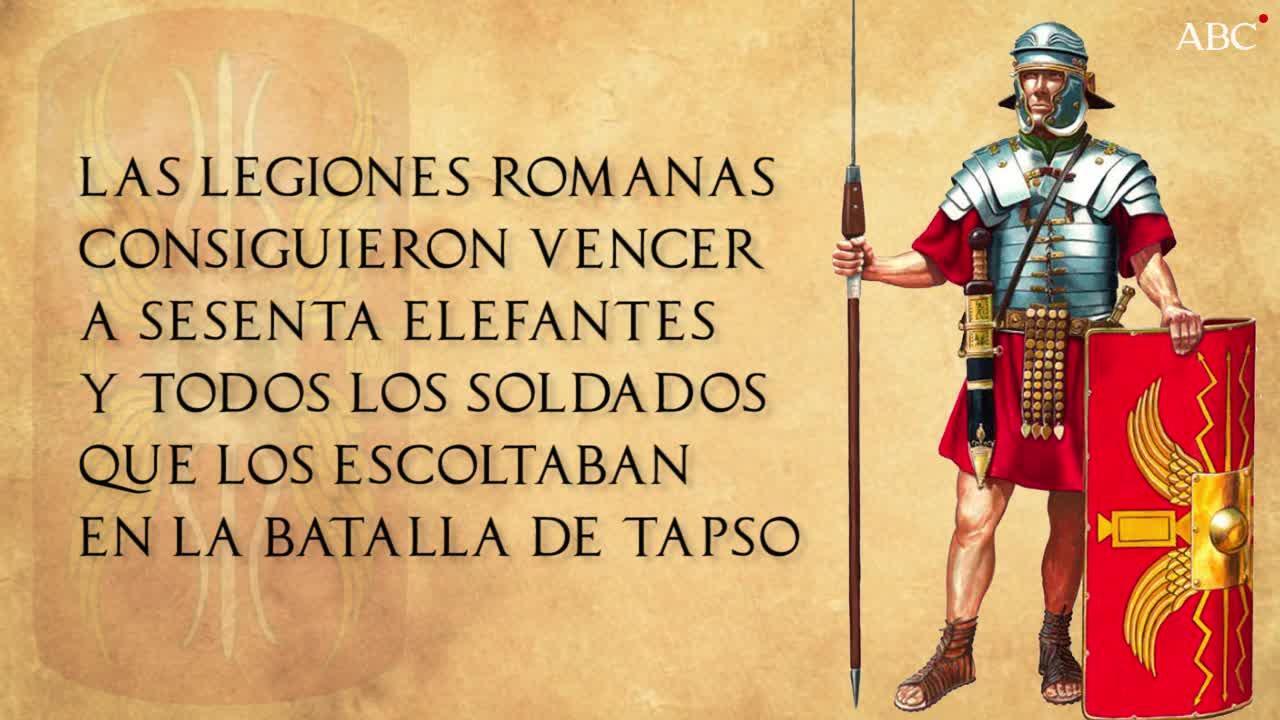 Elefantes de guerra: las máquinas de matar a las que vencieron las legiones romanas de Julio César