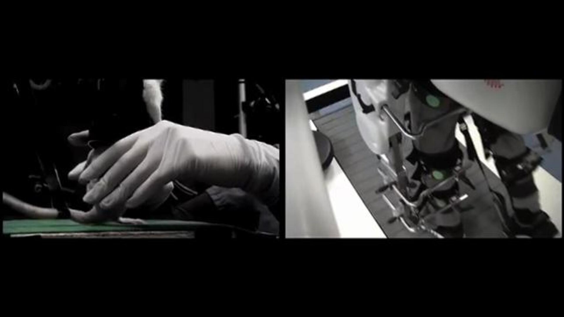 Ratas parapléjicas andan, corren y suben escaleras tras una terapia de rehabilitación