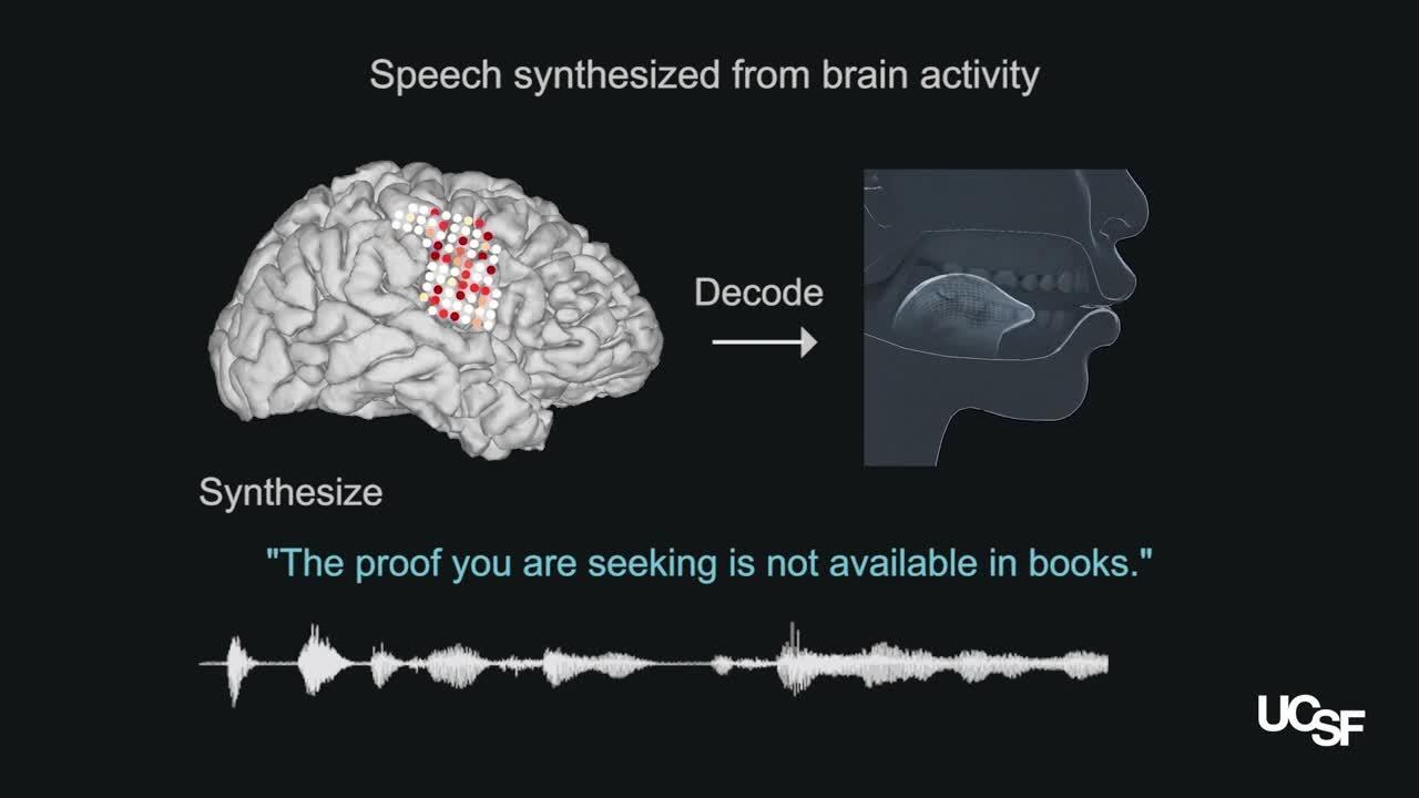 Vídeo: Así funciona el decodificador que traduce impulsos neuronales