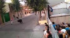 Aparatosa cogida en el encierro de Añover de Tajo
