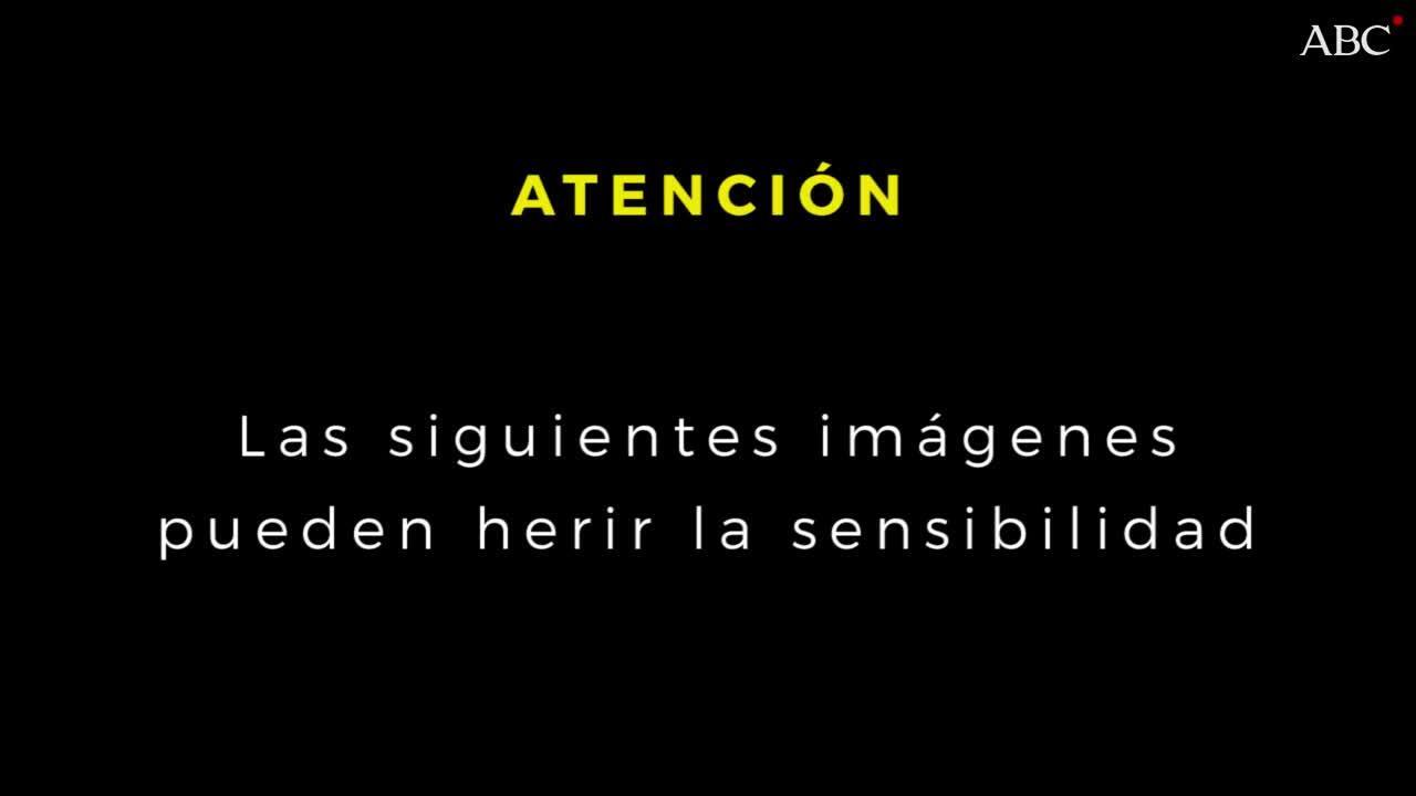 Pérez-Reverte carga en Twitter contra unos cazadores de elefantes: «Observen a estos hijos de...»
