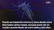 Confirman Chicungunya por mosquito tigre en tres islandeses que pasaron sus vacaciones en Alicante