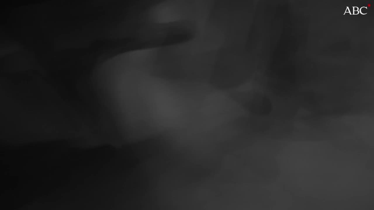 Rodríguez Vega escuchó imperturbable cómo un tribunal de la Audiencia Provincial de Santander lo condenaba a cuatrocientos cuarenta años de prisión en noviembre de 1991. Llegó a soltar una sonrisa, tal vez porque se había salido con la suya y ya era el peor asesino en serie después de «El Arropiero», a quien se le atribuyen veintidós crímenes