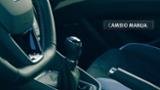 Seat León Cupra 290, diversión domesticada