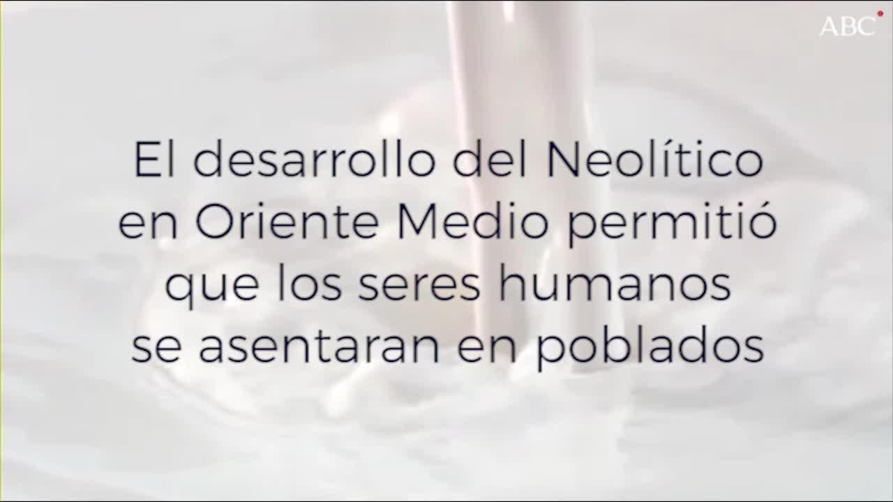 Un cambio genético nos hizo tolerantes a la lactosa