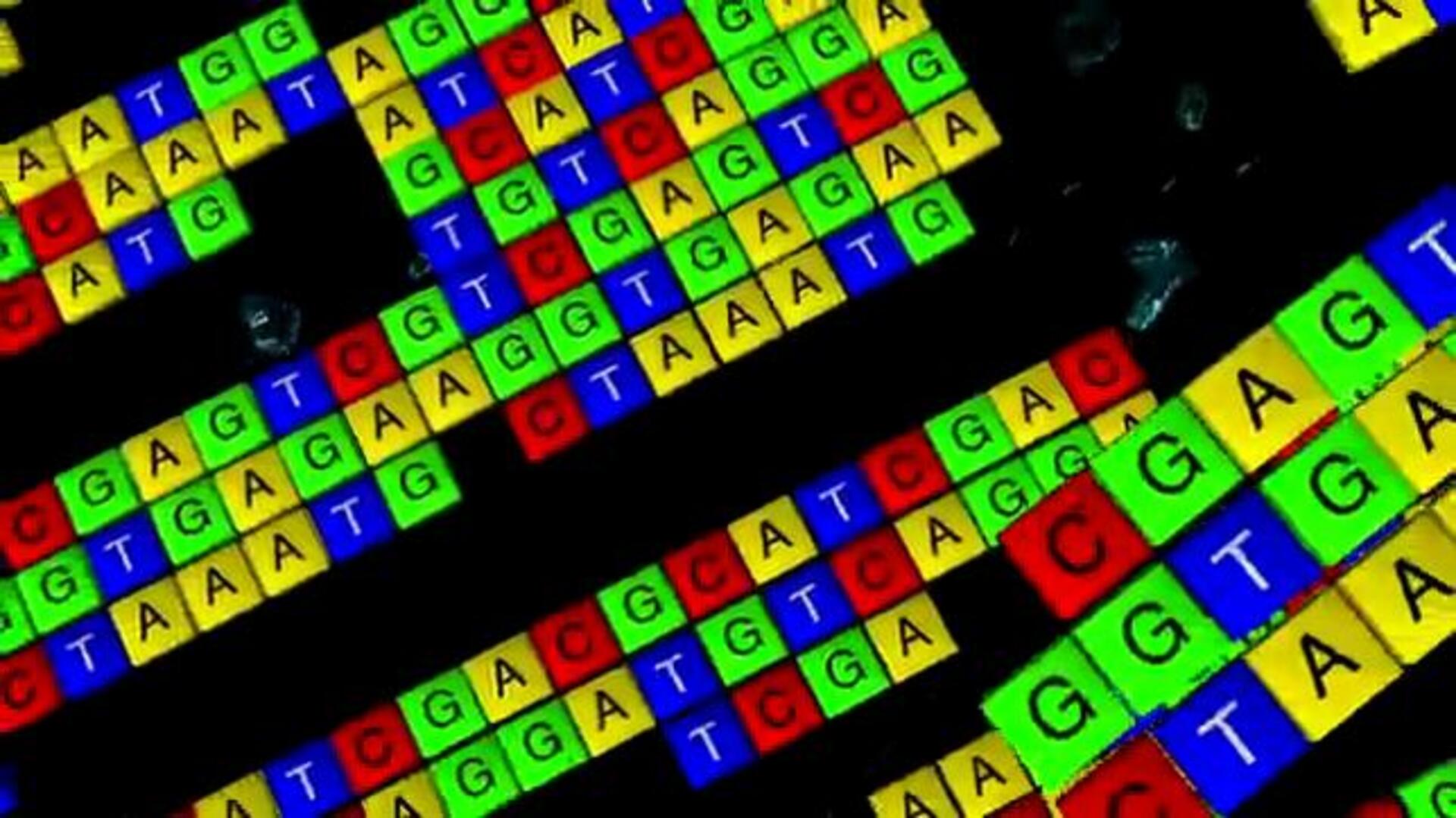 Científicos españoles obtienen el mapa genético de la leucemia más común