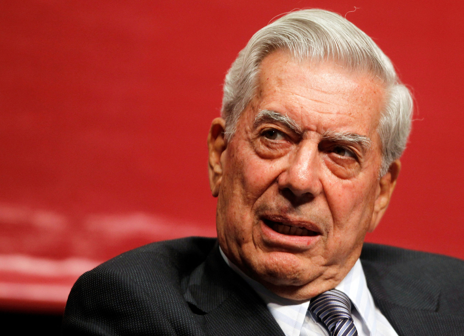El premio Mario Vargas Llosa, fotografiado en 2010.