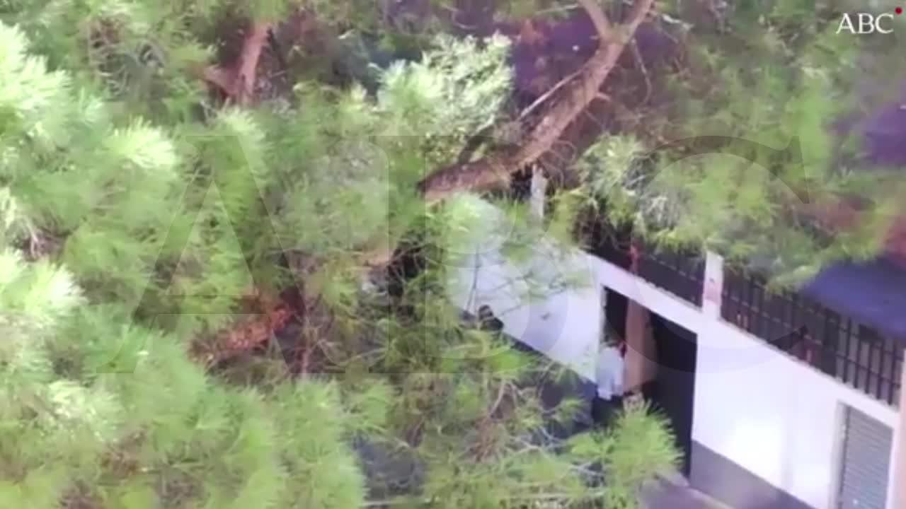 Tres agentes heridos tras una redada antidroga en Madrid