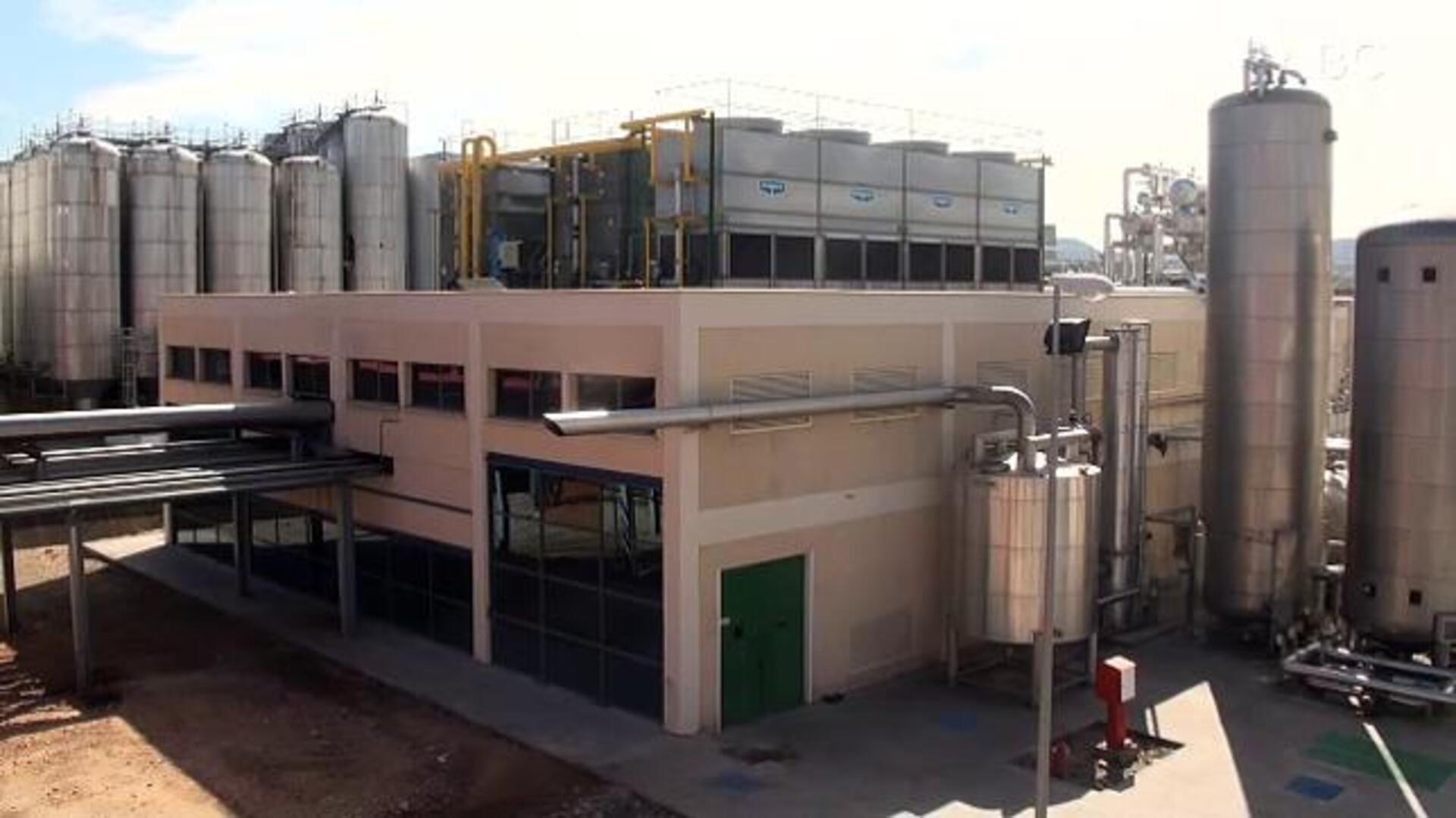 Un día en la fábrica de cerveza