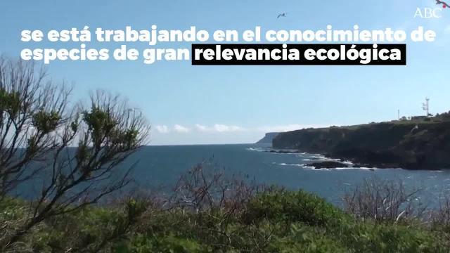 Imagen que muestra el efecto devastador del agua en ausencia de arbolado