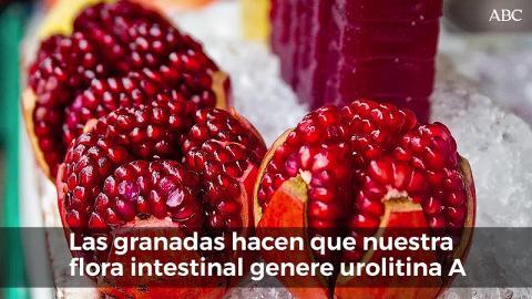 Granada, la fruta antienvejecimiento.