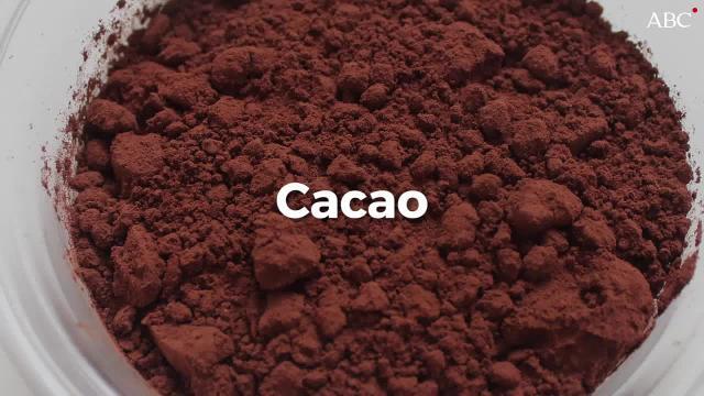 El cerebro consume alrededor de un 20% de la energía corporal