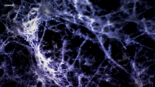 El primer país que detectó la enfermedad de la grafiosis fue Holanda (1919), el que más olmedas tenía, de ahí que inicialmente se la conociera como la enfermedad del olmo holandés