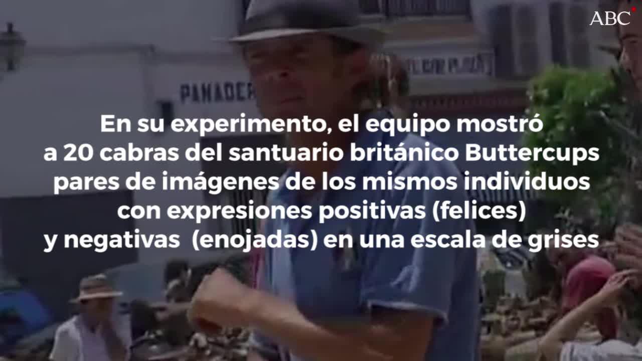 El investigador Alan McElligott junto a una cabra