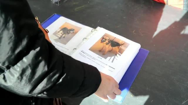 Imagen de niños con Lupo, uno de los perros adoptados en el desfile