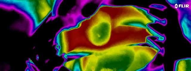 Luz para mejorar la función cardíaca después de un ataque al corazón