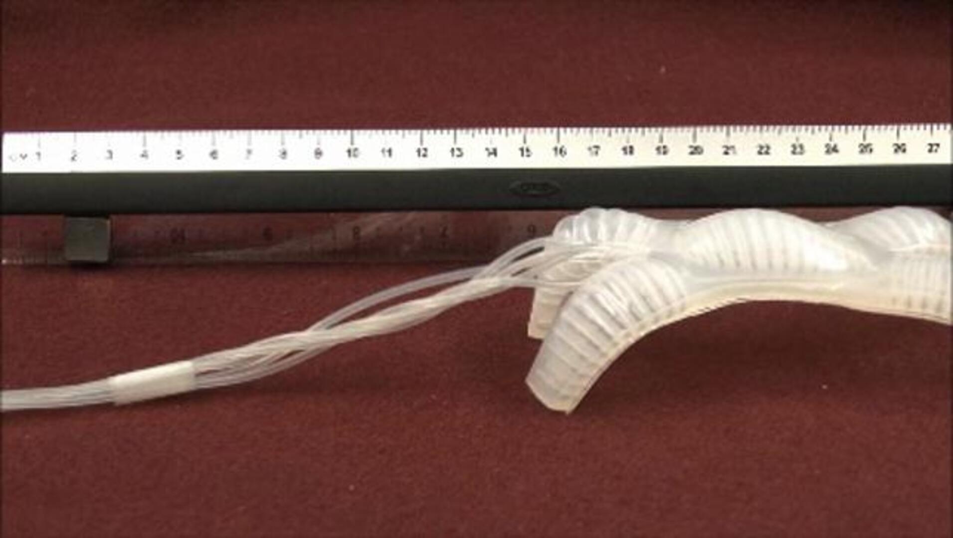 Científicos crean un robot flexible como un calamar