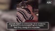 El gato que se hizo viral al tranquilizar a un niño en plena crisis sensorial