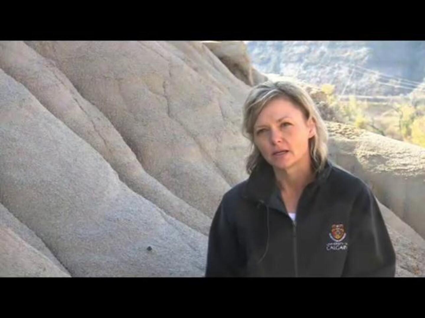 Los primeros dinosaurios utilizaban las alas y plumas para el cortejo