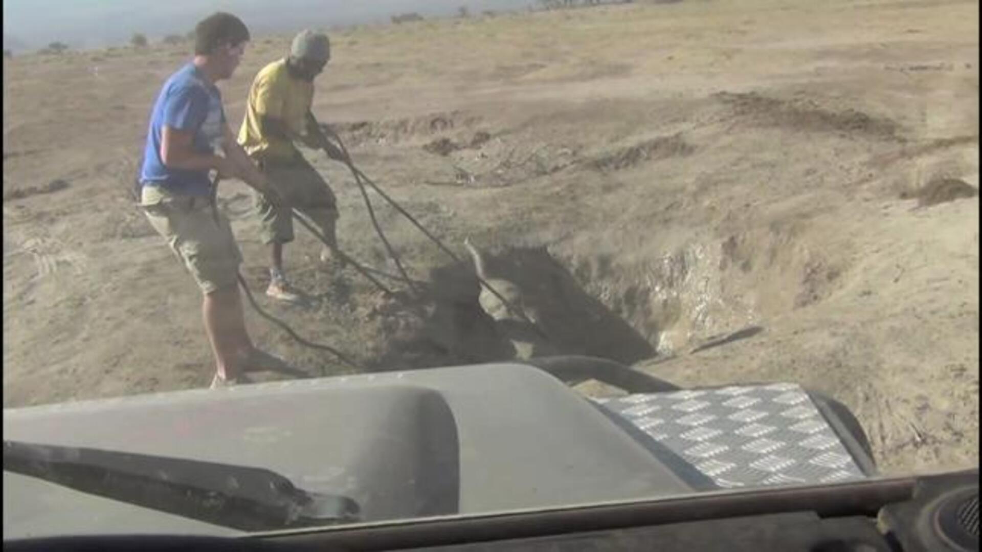 La tierna escena del rescate a una cría de elefante atrapada en una zanja