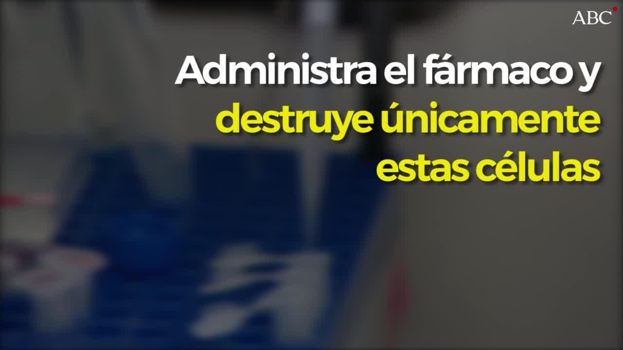 Investigadores españoles desarrollan un fármaco que identifica y destruye las células madre metastásicas