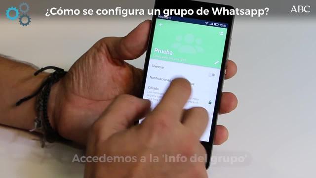 Mira en el video cómo funcionan los grupos de WhatsApp