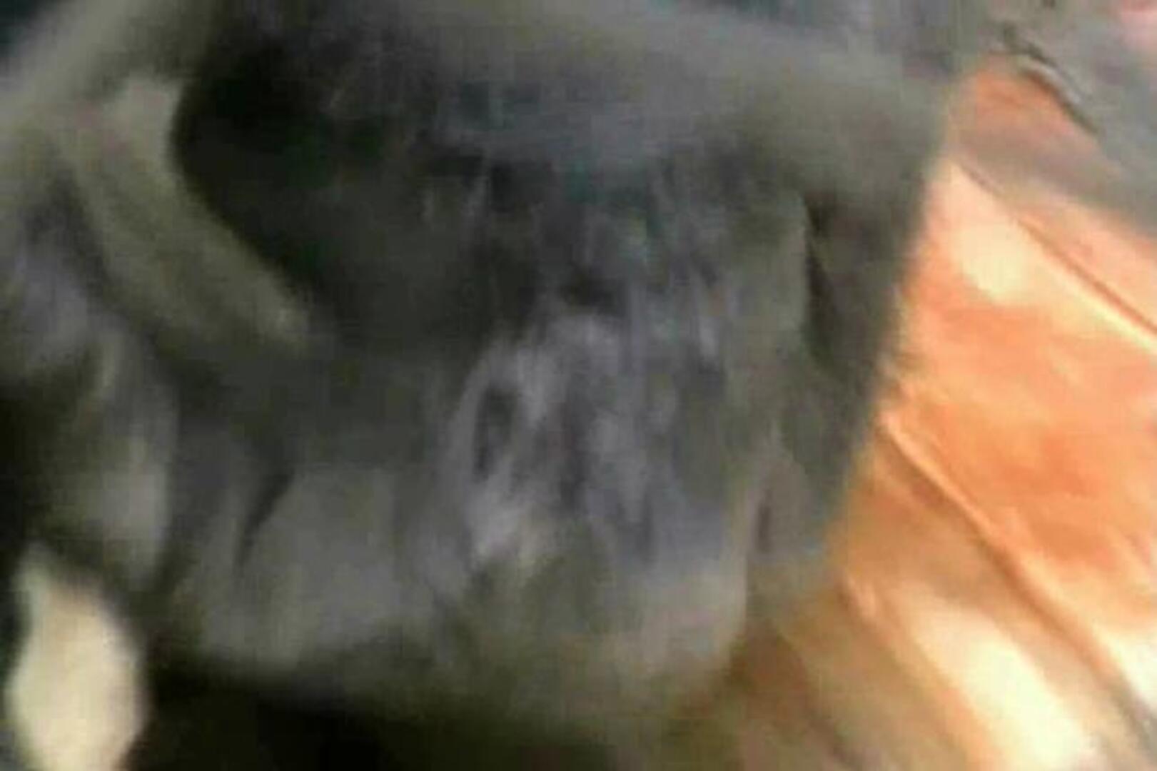 Un bonobo fabrica y usa herramientas como las de los primeros humanos