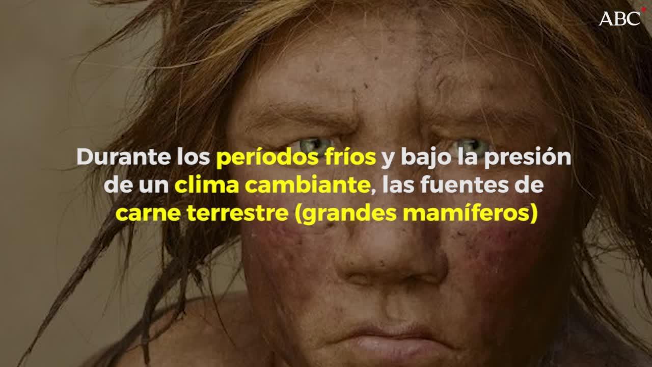 La causa de la desaparición de los neandertales